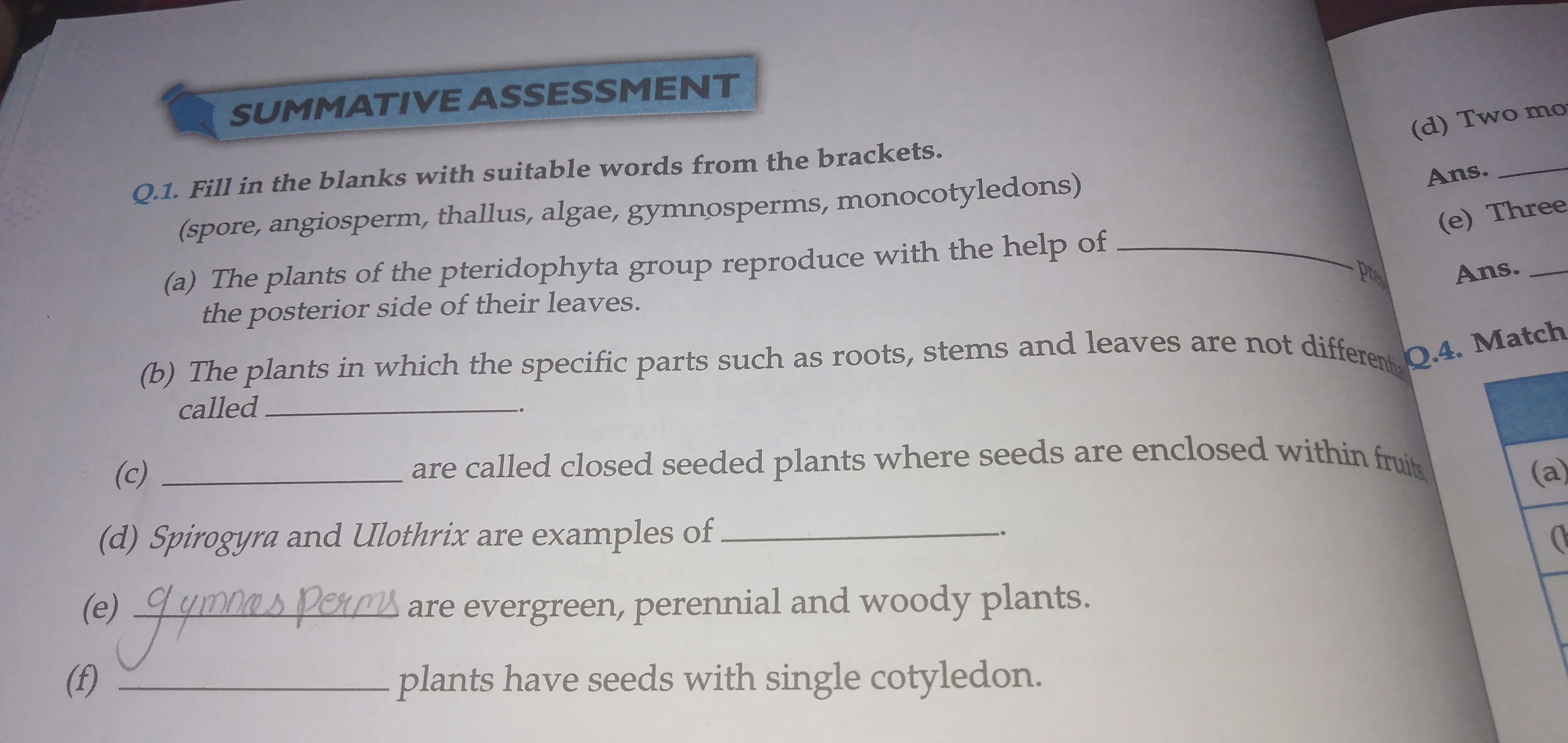 Question image for The plant of the pteridophyta group reproduce wit